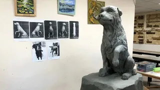 Во Владимирской области установят памятник бездомному псу