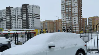 Почему опытные водители покупают авто белого цвета: гаишник раскрыл хитрость, о которой мало кто знает