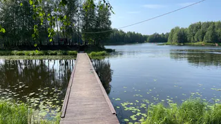 Жара и сухость: синоптики рассказали, какой будет погода в Челябинской области сегодня