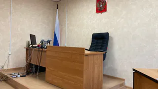 В Рязани осудят водителя за нападение на полицейского с авторучкой