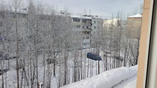 Зима наступит стремительно: синоптики объявили, когда выпадет первый снег - бабьего лета не будет