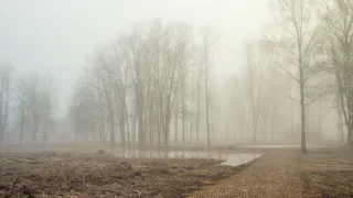 18 апреля в Рязанской области ожидается гроза и до +18