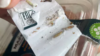 Жители Рязани обнаружили личинки в купленной упаковке миндаля