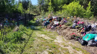 «Козьи тропы и мусор с человеческий рост»: никольчанку ужаснуло состояние Алексеевского кладбища