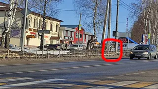 Брянских водителей предупредили о камере на шоссейной 46