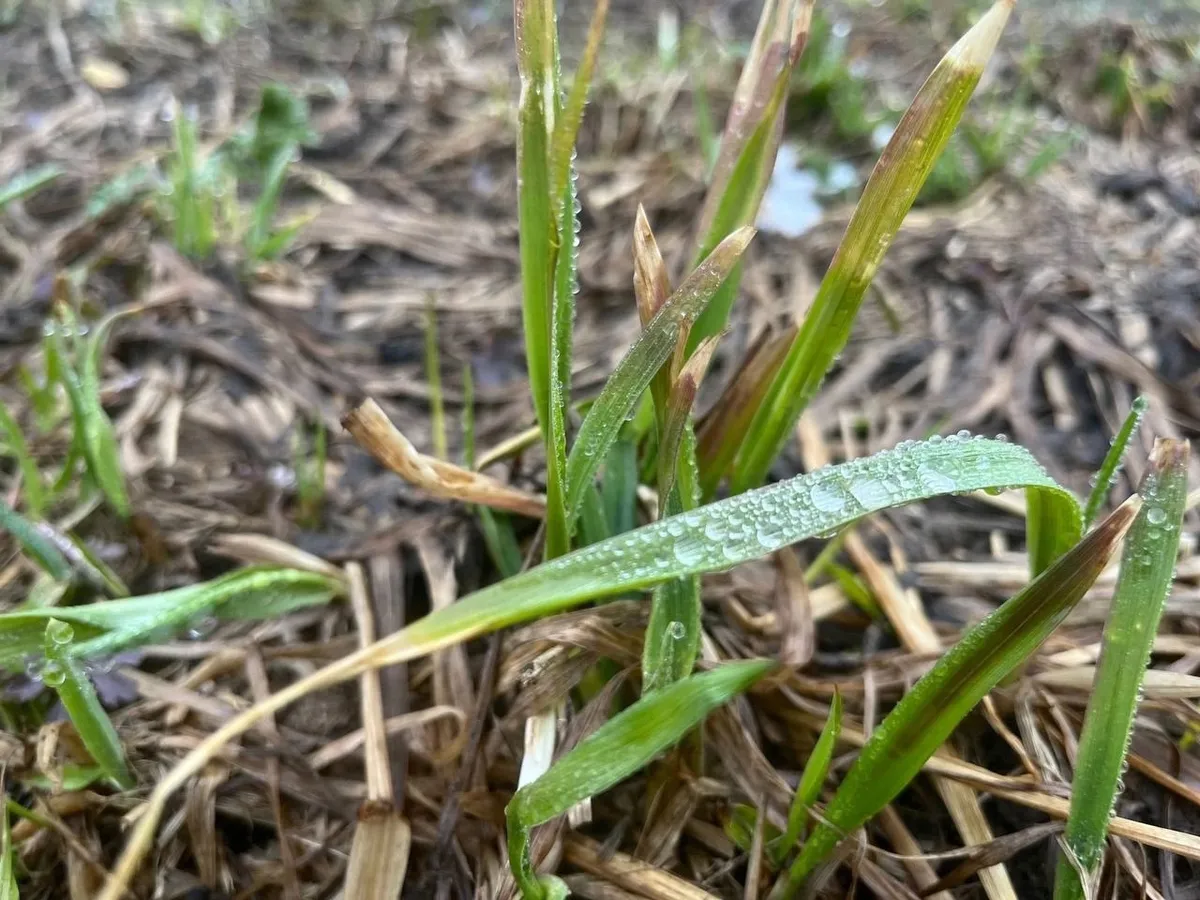 Челябинскую область 9 мая накроют грозы и град