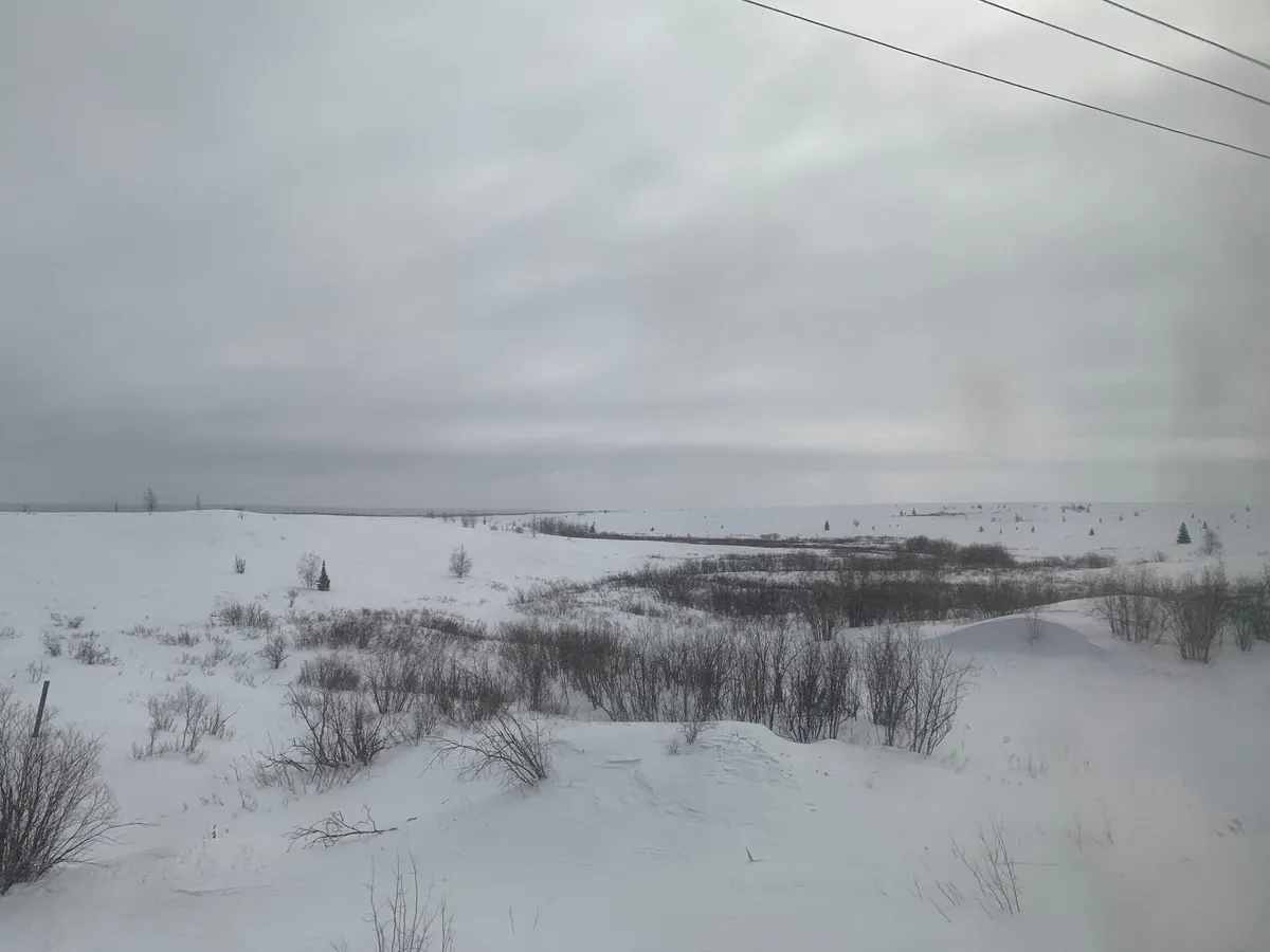 Штормовое предупреждение в Челябинской области: метели и гололедица ожидаются 13 декабря