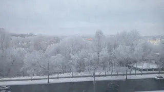 Рязанцев 21 февраля ждет туман и похолодание до -22