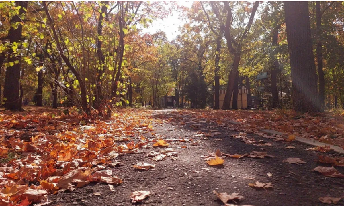 Раскрутят колесо фортуны: Глоба назвал 3 знака Зодиака, которые станут настоящими любимчиками золотой осени с 17 октября