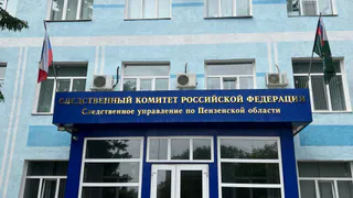 В Бессоновском районе собака напала на ребенка