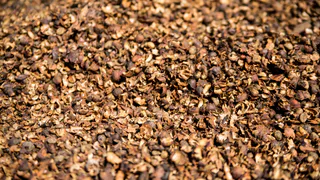 Ученые Коми приступили к испытаниям биодобавки из кофейной шелухи