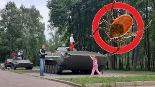 Рязанцы жалуются: в парке Советско-Польского братства по оружию много клещей