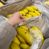 Зачем продавцы из "Пятёрочки" забирают из ящиков с бананами эти пакетики - секрет, который точно вам пригодится