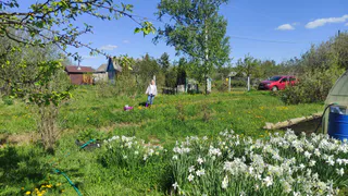 Вас всю жизнь обманывали: эти режимы стиральной машины бесполезны и портят одежду