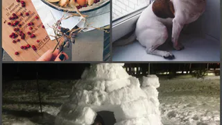 Инстаграм рязанцев: кулинар, вид из окна и детство