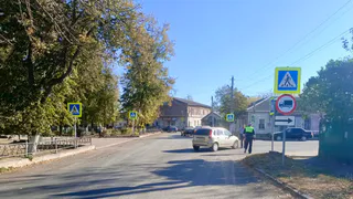 В Скопине водитель Lada Kalina сбил двух пешеходов