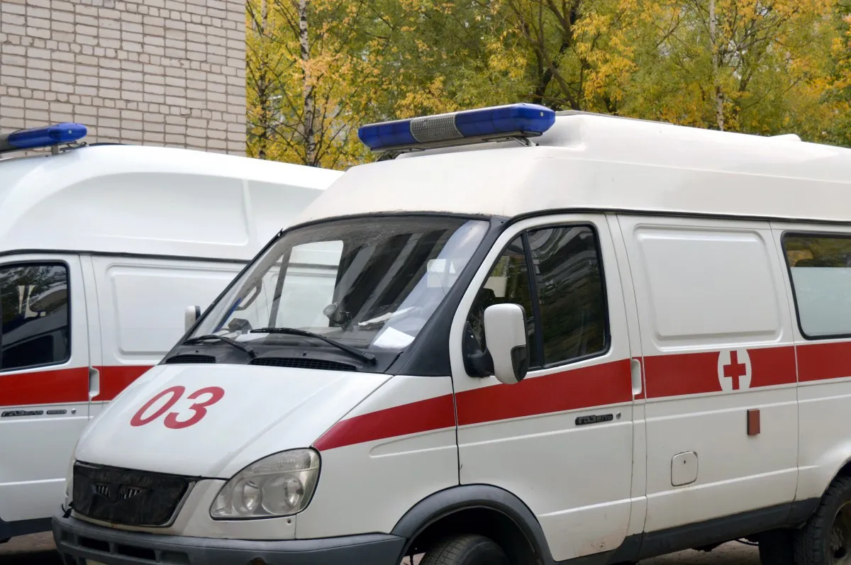 Житель Ухты пришел на день рождения коллеги и убил его