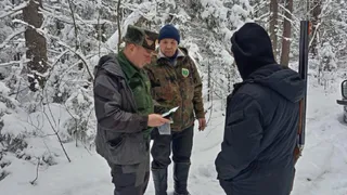Во Владимирской области госохотинспекторы выявили 24 случая незаконной охоты