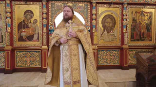 Рязанский священник возмутился из-за популярности «утиных» губ у женщин