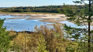 В столице Коми в лесной местности потерялись женщины