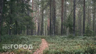 Счастье стучится в двери: Тамара Глоба назвала знаки зодиака, которым крупно повезет с 4 октября