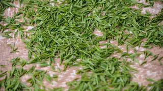 Как будто только с огорода: как сохранить свежую зелень на долгое время – 5 самых легких способов