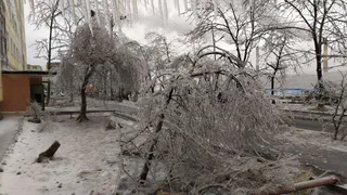 Синоптики заявили о возвращении в Рязанскую область ледяных дождей