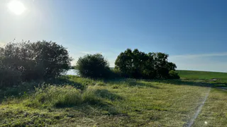 В нескольких районах Рязанской области введен особый противопожарный режим