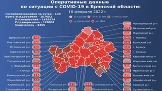 Еще девять человек умерли в Брянской области от COVID-19