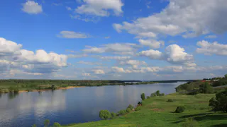В Волге исчезло несколько видов рыб