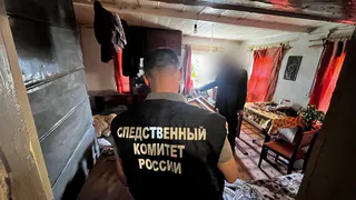 В Пензенской области 68-летний мужчина убил своего двоюродного брата