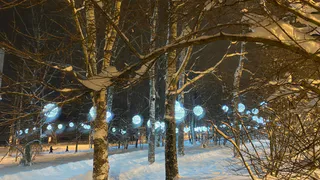 Мороз с небольшим снегом ожидается в Коми 31 декабря и в Новогоднюю ночь