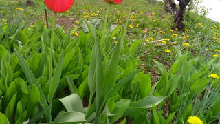 Прогноз синоптиков – какой погоды ждать рязанцам в выходные