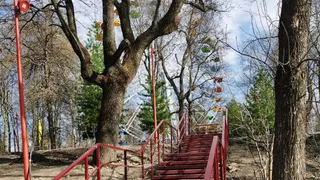 Тропу здоровья соединят лестницами с Белинским парком