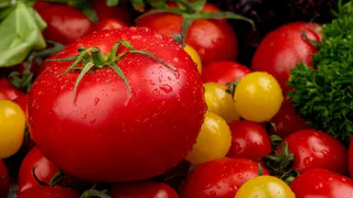 Томаты размером с арбуз: посадите этот сорт в апреле - плоды до 2 кг