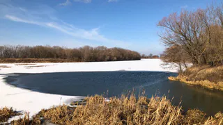 Пассажирское судно «Метеор» хотят пустить до Рязани