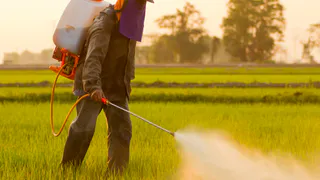 Минсельхоз РТ: аграриям напомнили о правилах применения пестицидов и агрохимикатов