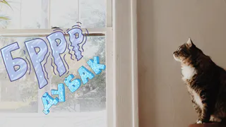 Встречаем 2019 год без сквозняков и холода в доме