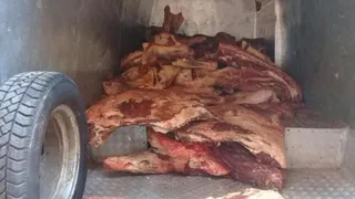 В Новозыбкове уничтожены 2,5 тонны белорусской говядины