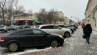 В Рязани неизвестные напали на прохожего с собакой с перцовым баллончиком
