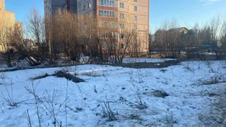 На неделе в Коми сохранится температурный контраст: от +10 до -30 градусов