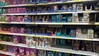 "Не травите этим своих кошек": в Роскачестве назвали худшие марки корма для питомцев