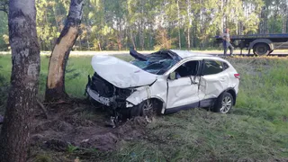 В Касимове водитель иномарки вылетел в кювет: подробности ДТП
