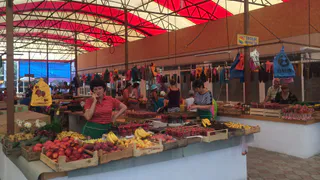 Отдыхающие ахнули от цен в Крыму: арбузы — 20 рублей, помидоры — 50! Сравниваю с нашими супермаркетами — вот где выгодно