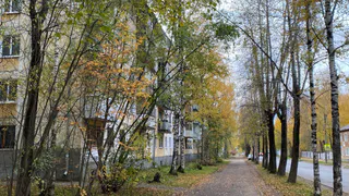 Погода 5 октября вновь установит в Коми четкий градиент: от дождя со снегом до сухого бабьего лета