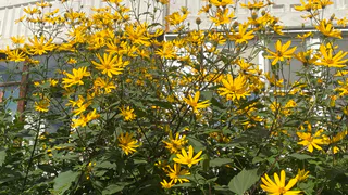 15 сентября принесет на северо-восток теплую ночь, а в центр и на юг - день