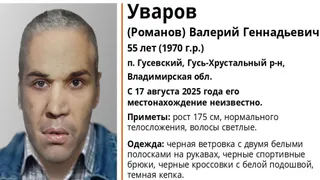 В Гусь-Хрустальном районе пропал 55-летний мужчина в чёрных ветровке и кроссовках