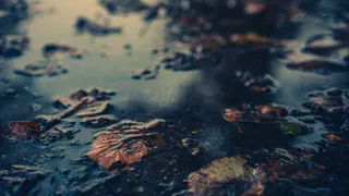 "Устали ходить по грязи" - жители Приокского просят нормальную пешеходную дорожку