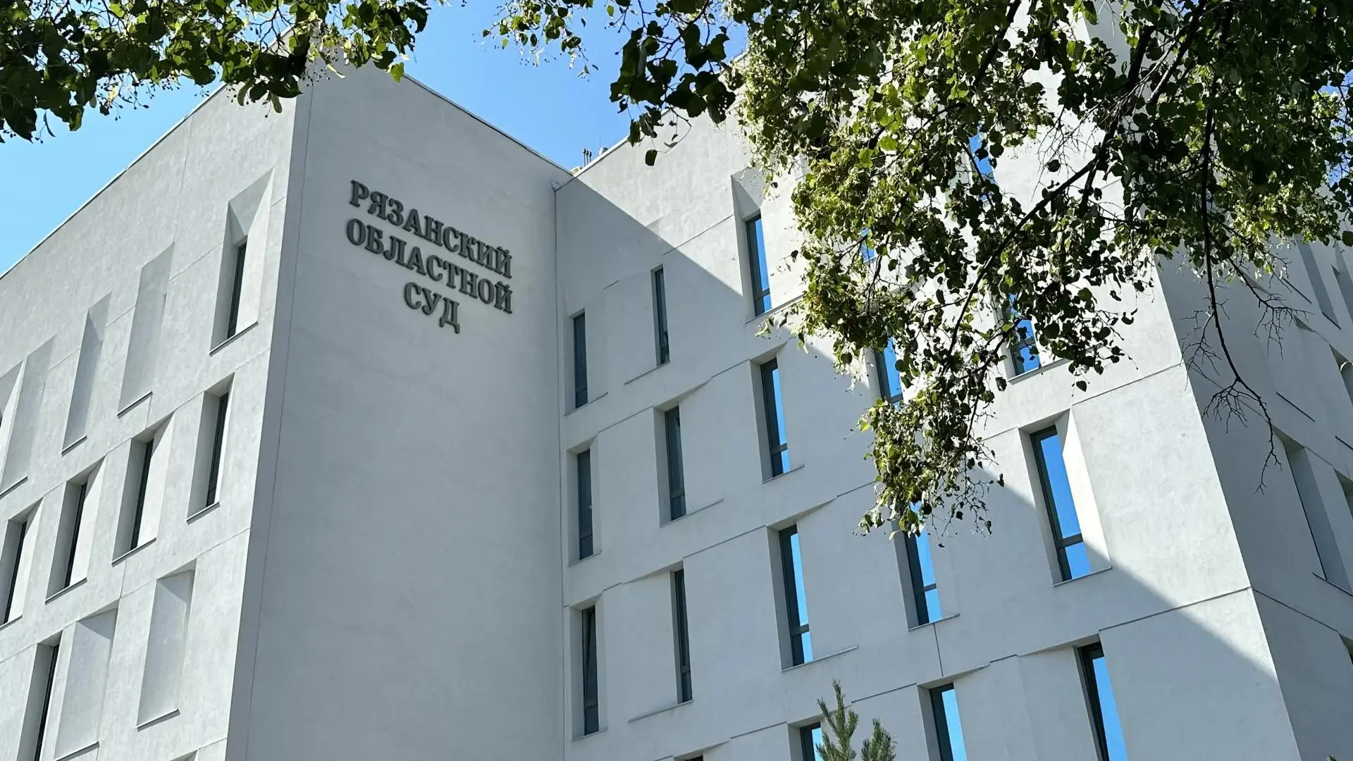 В Рязани суд отказал водителю в выплате за столкновение с мертвым лосем