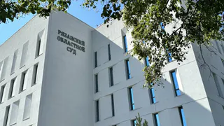 В Рязани суд отказал водителю в выплате за столкновение с мертвым лосем